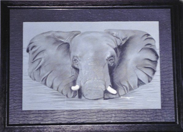 elephant dans l'eau fusain 40 60