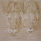 couple lion huile sur lin 100 100