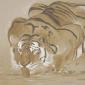 tigre