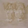 couple lion huile sur lin 100 100